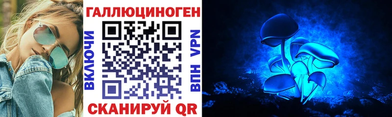 Псилоцибиновые грибы Psilocybine cubensis  купить наркотики цена  Карачев 
